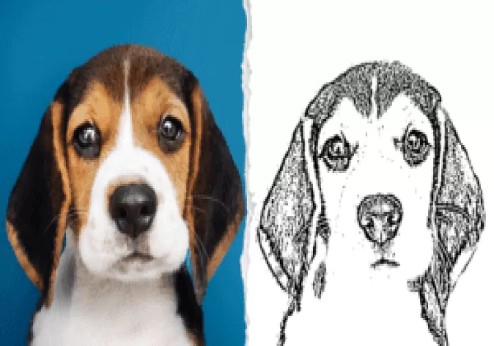 绘画桌_https://m.0355xx.com_系统工具_第5张